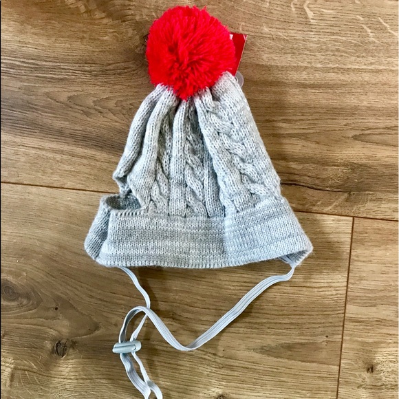 Wondershop Other - Knitted Pom Pom Animal Pet Gray Red Winter Hat NWT